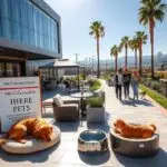 pet-friendly-hotels-in-los-angeles